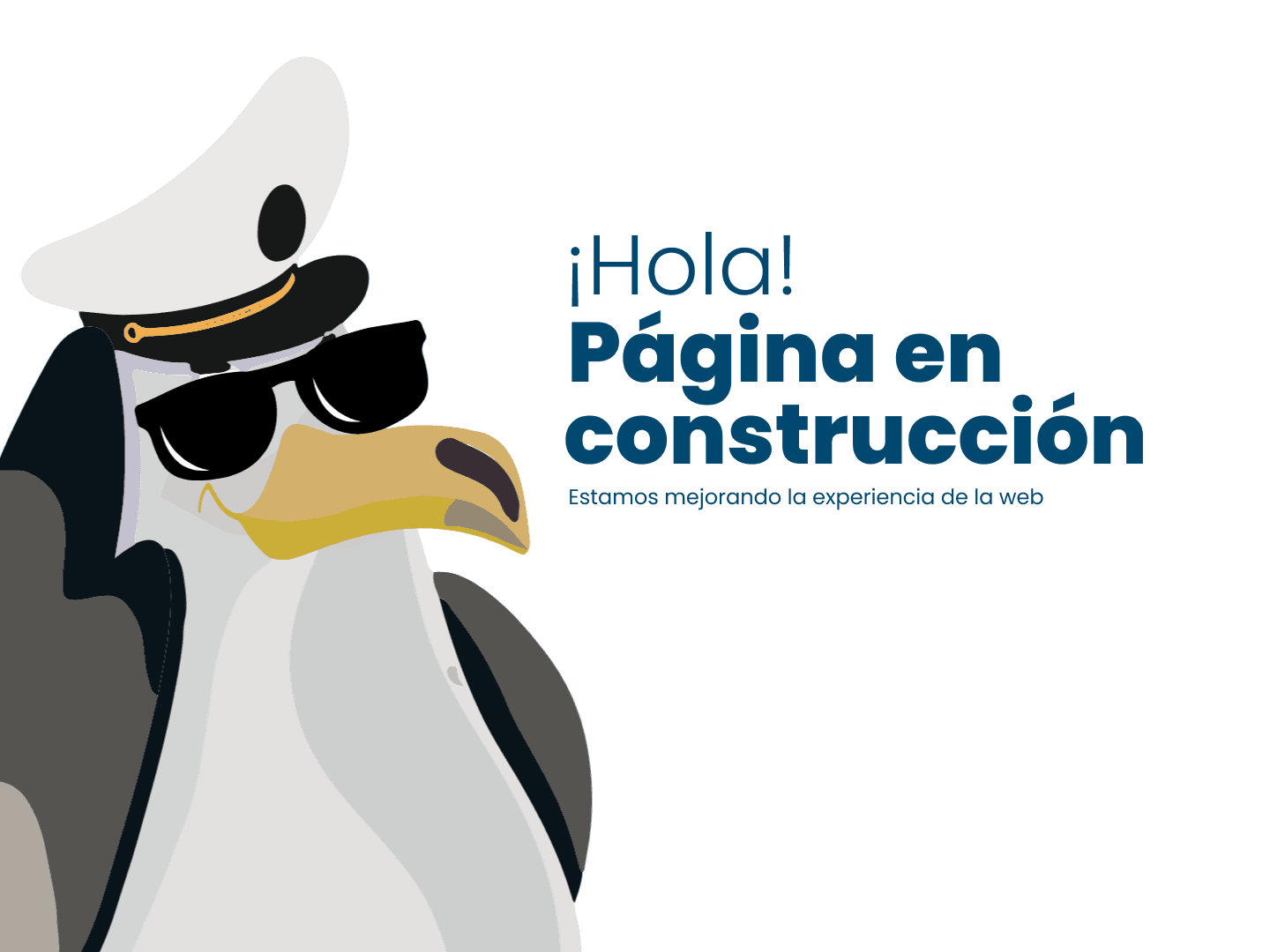 work in progress